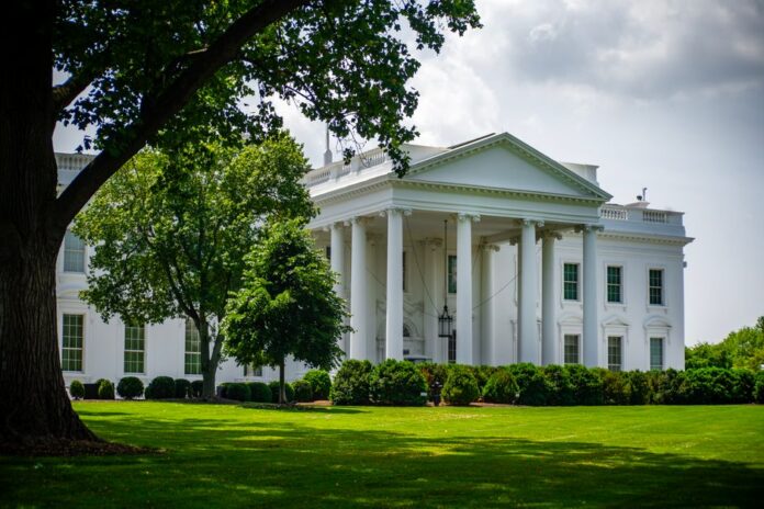 Can President Trump Do That? — National coverage by The News Beacon. Photo: Ramaz Bluashvili via Pexels