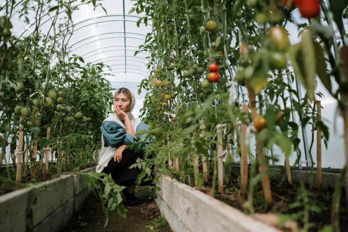 U.S. would be growing more slowly without AI boom, but not in recession — Economy coverage by The News Beacon. Photo: cott...